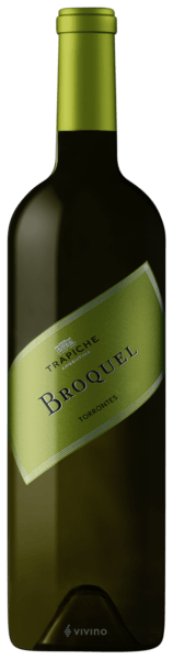 Broquel Torrontés